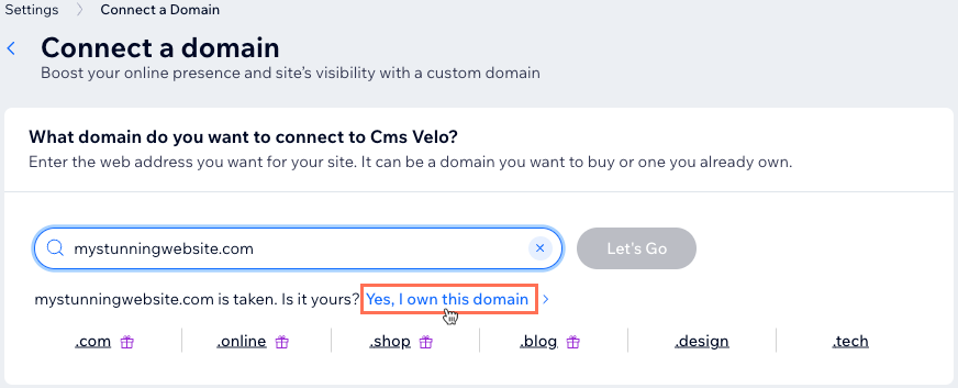 Screenshot of clicking 'Yes, I own this domain'.