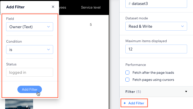 Screenshot of adding a dataset filter for the Owner field.