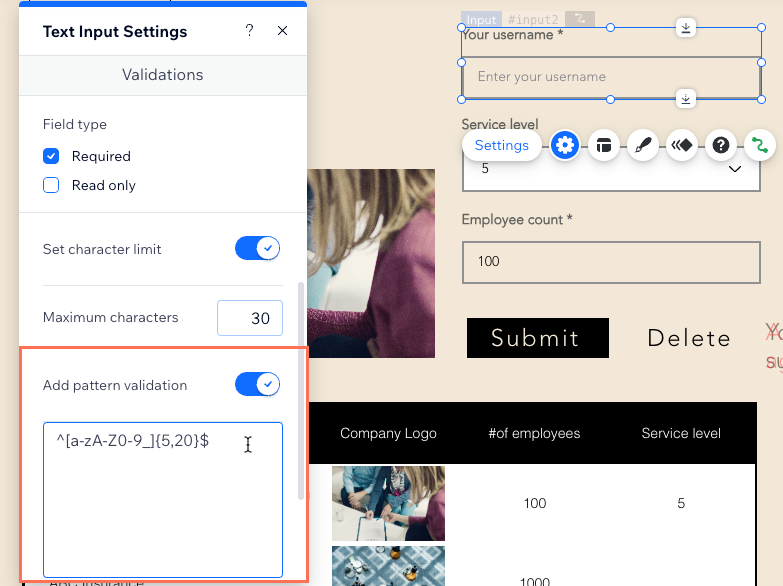 Screenshot of adding pattern validation to a text input element set to collect usernames.