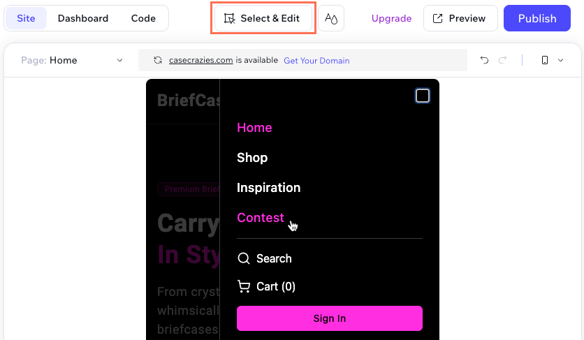 Screenshot showing the default demo mode in the Wix Vibe Editor.