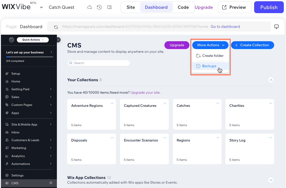 Screenshot of accessing CMS backups.