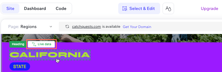 Screenshot of dynamic text that shows 'Live data' to indicate its content comes from an external source.