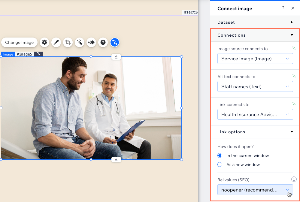 Screenshot of the dataset connection options for an image.