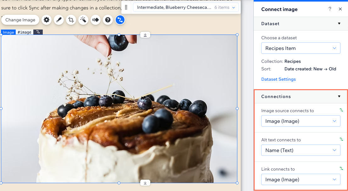 Captura de pantalla de las opciones de conexión al CMS para una imagen.