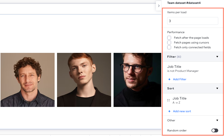 Screenshot of some of the dataset settings in the Studio Editor.