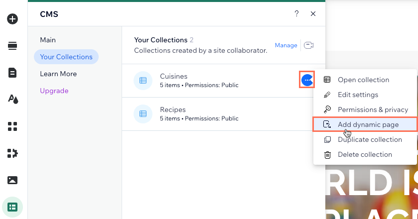 Screenshot of adding a dynamic page for a collection.