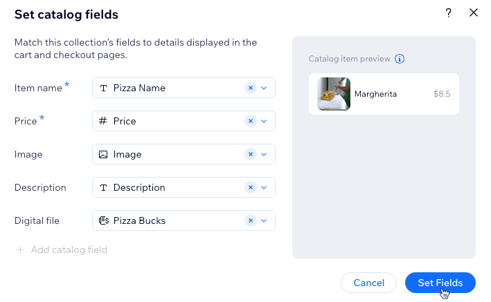 Screenshot of setting catalog fields.