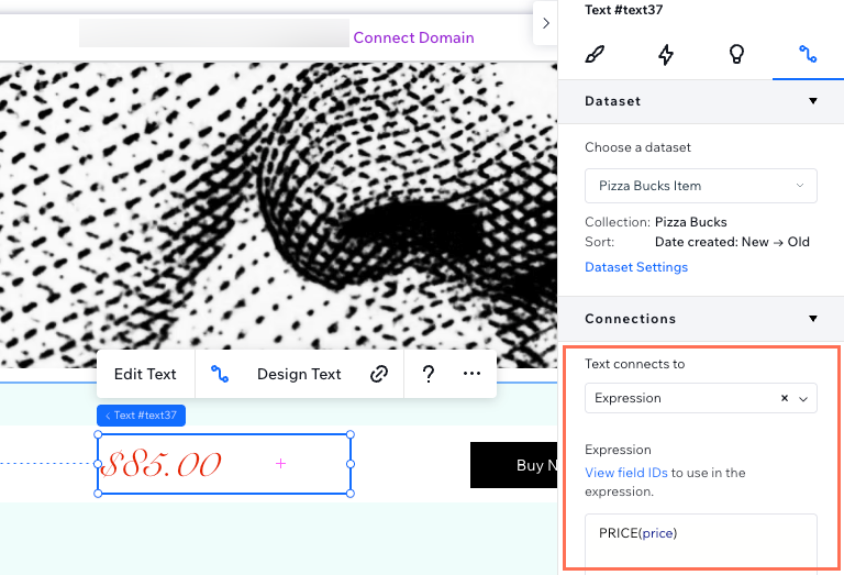 Screenshot of using the price expression in a dataset connection.