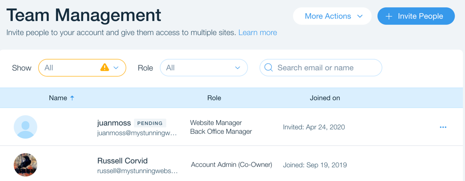 Screenshot of the Team Management tab in a Wix Enterprise account.