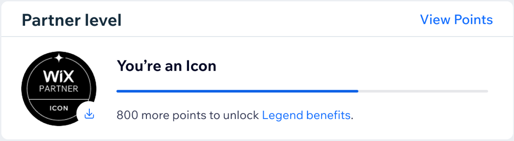 A screenshot of the Icon level in the Wix Partner program.