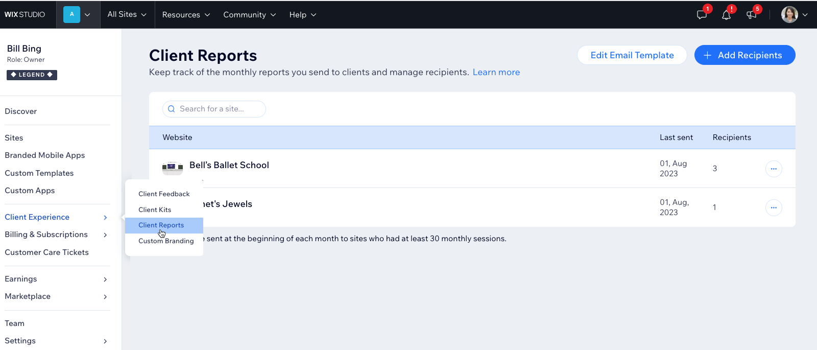 A screenshot of the Client Reports tab under Client Experience in the Wix Studio workspace.