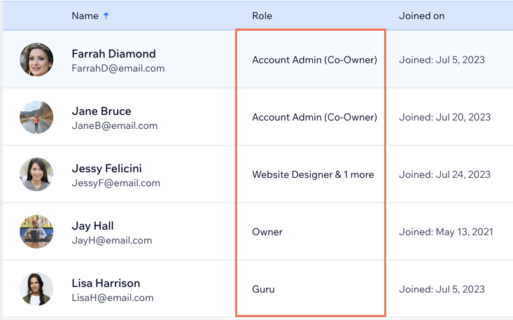 A screenshot of your team and their assigned roles in your Wix Studio workspace.