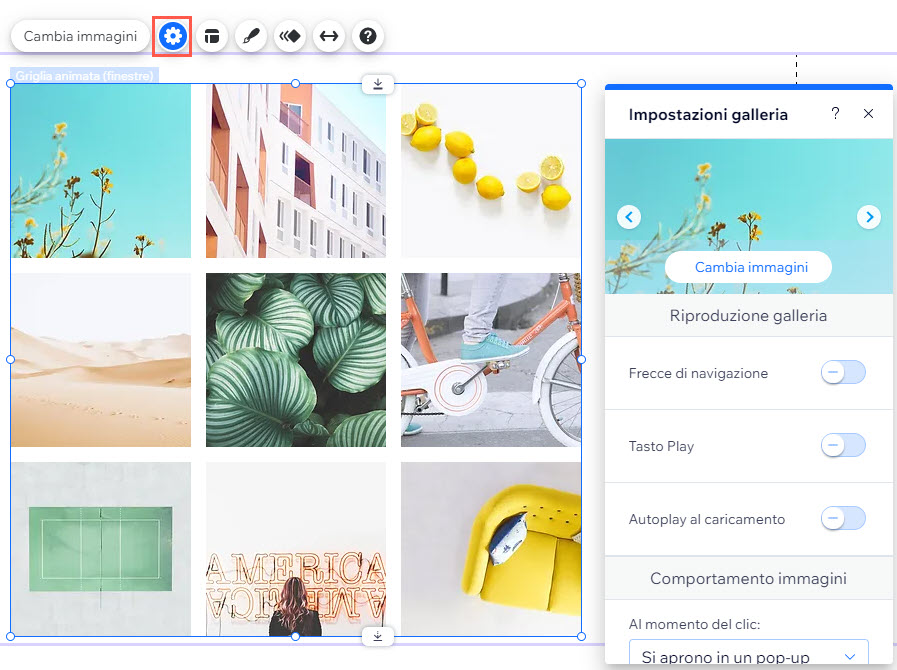 Galleria nell'Editor. L'icona delle impostazioni è evidenziata e il pannello è aperto.