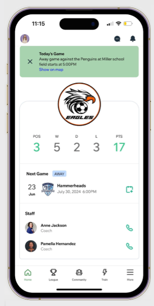 A screenshot of a native app with custom mobile widgets.