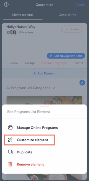 A screenshot of the 'Customize element' option in the Wix Owner app.