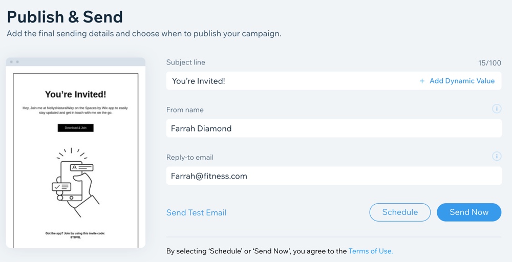 A screenshot of the preview panel before sending an email campaign.