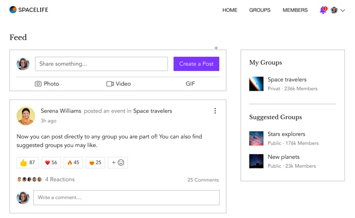 A screenshot of the Group Feed.