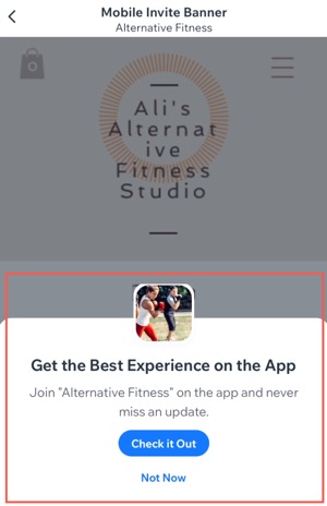 A screenshot of the Mobile Invite banner for Premium Plan with a domain users in the Wix Owner app.