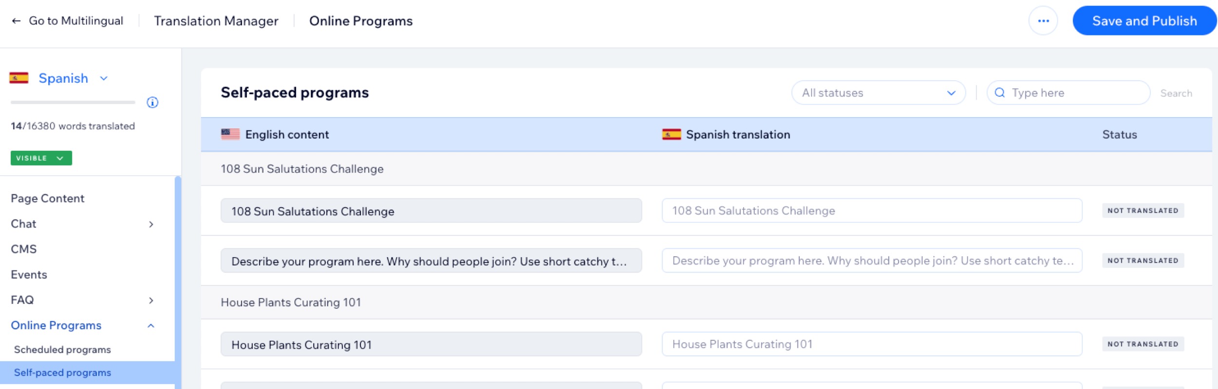 A screenshot of the translation manager in a site's dashboard.