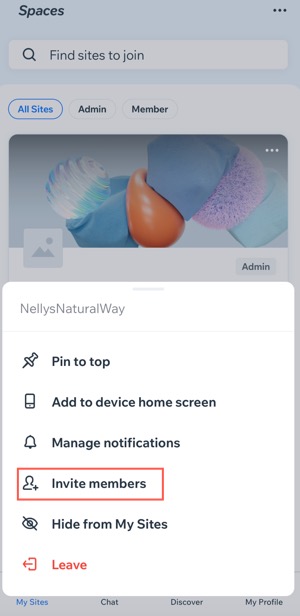 A screenshot of the Invite members option in the Spaces app.