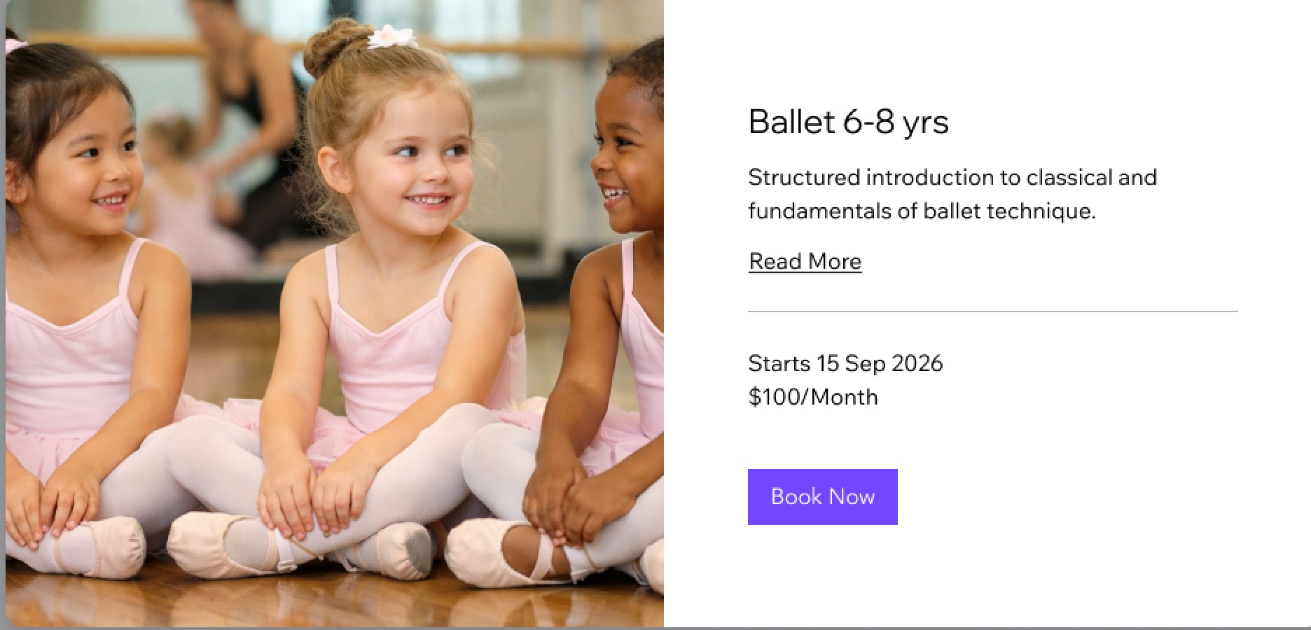 A screenshot of a monthly pricing subscription created with Wix Bookings.
