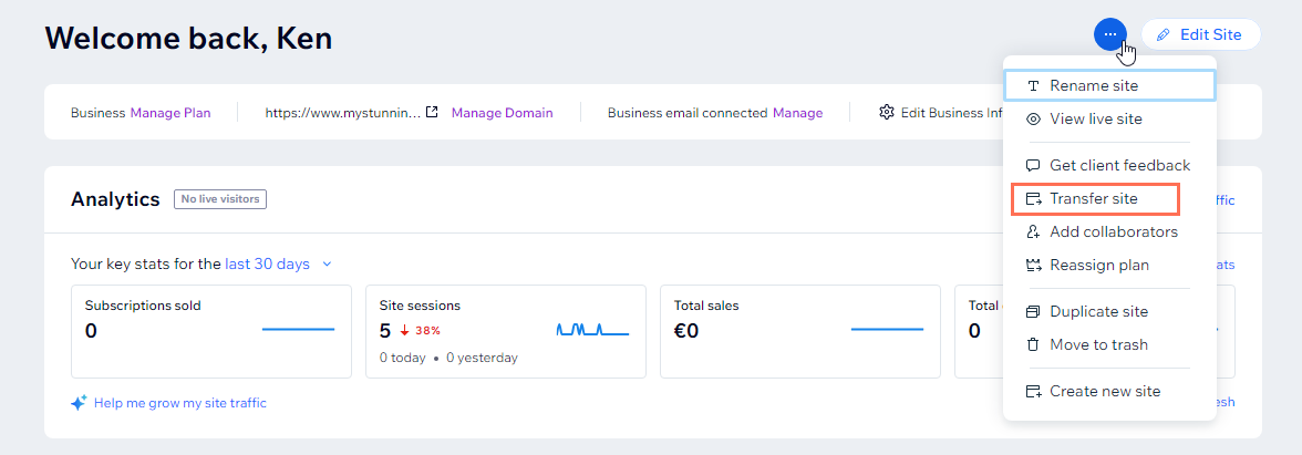 Kontrol panelindeki Site Seçenek menüsünde Seçenek'i aktar seçeneğinin vurgulandığı bir ekran görüntüsü.