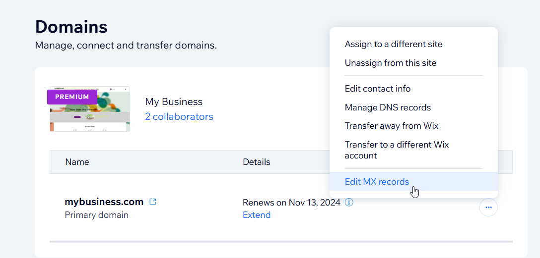 Uma captura de tela mostrando onde editar registros MX para um domínio em uma conta Wix.