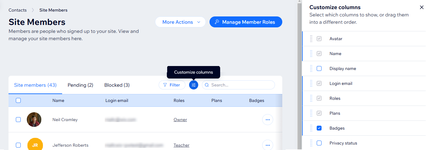 Uma captura de tela mostrando a opção Personalizar colunas ao visualizar a lista de membros de um site Wix.