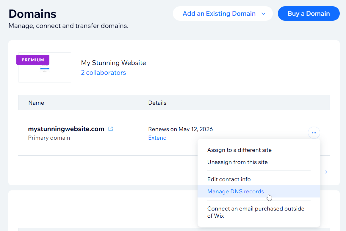 A screenshot showing the Manage DNS Records option on the Domains page in a Wix account.