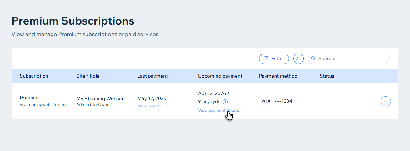 A screenshot showing the View payment details button for a Wix domain.