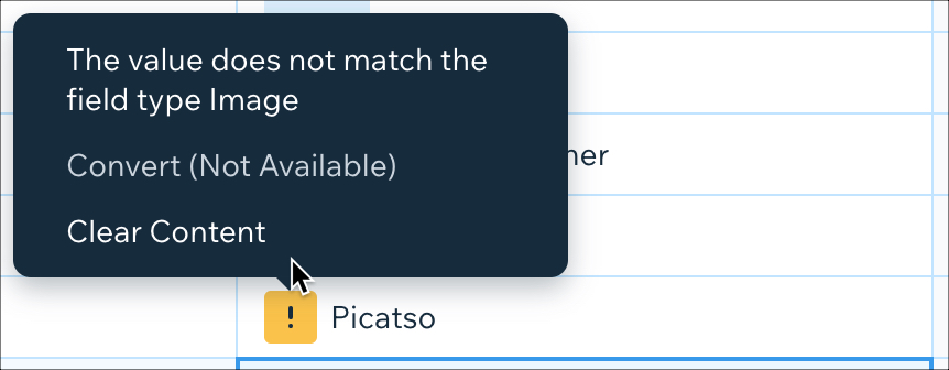 A screenshot of the pop-up message that appears in the collection when you paste content that doesn't match the field type.