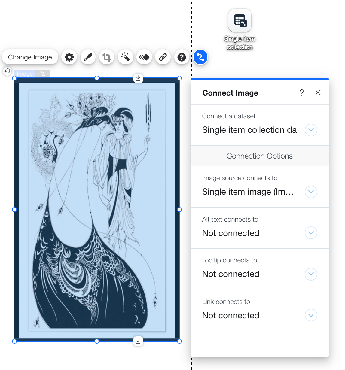 A screenshot of a page in the editor, displaying single item collection content and the Connect Image panel.