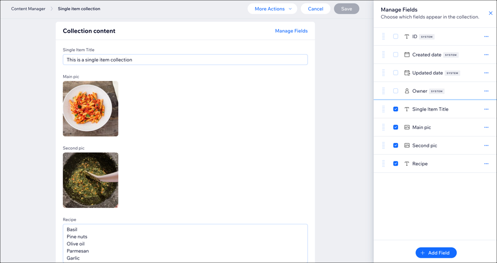 A screenshot of a single item collection in the content manager, with the Manage Fields panel open.